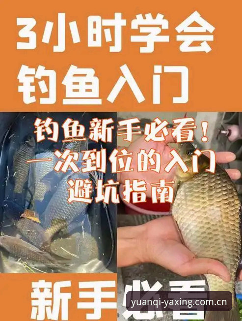 避坑入门：二零二五首季类似亚星CN的直播对比使用指南（附实战细节）