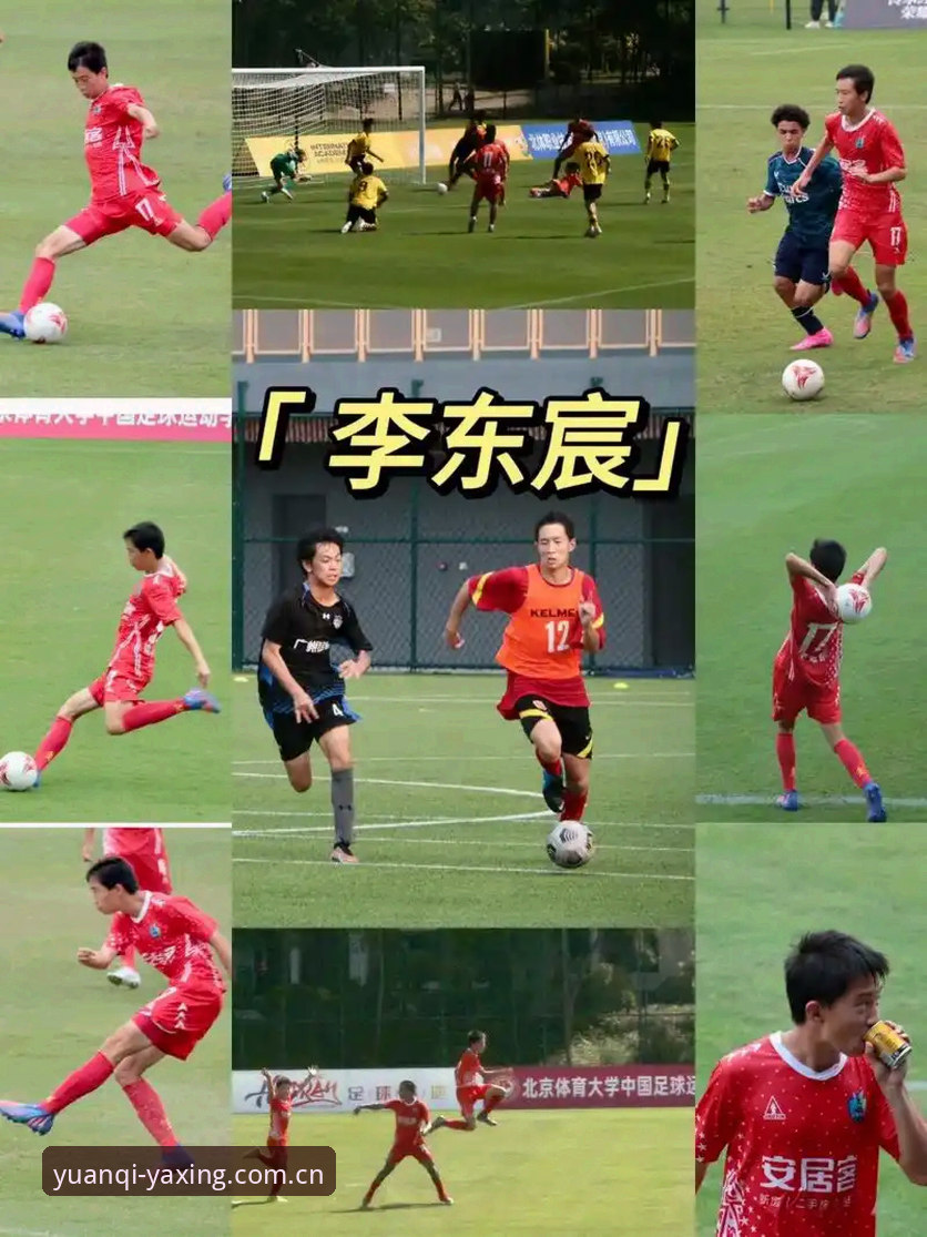 二零二五首季CN投注评测手机版深度评测：从阿飞的踩坑到我的真香清单